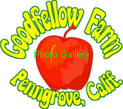 Photo Gallery